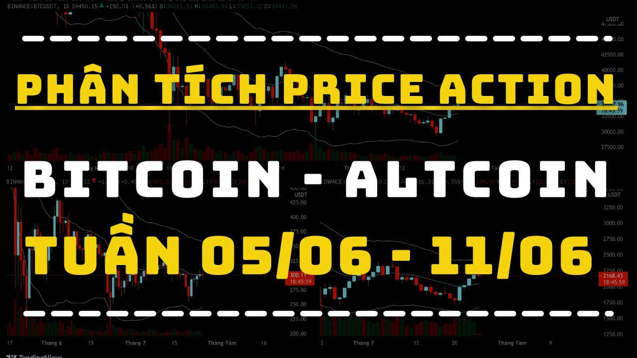 Phân Tích BITCOIN - ALTCOIN Theo Price Action Tuần 05-11/06