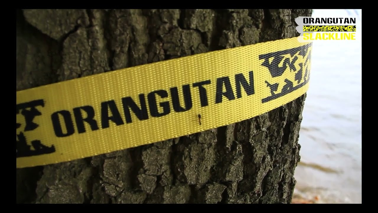 Balansavimo juosta Orangutan Slackline - 50m su medžių apsauga