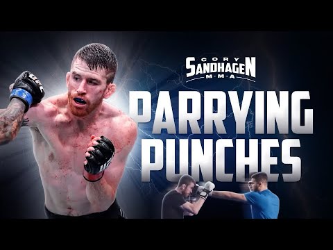 The Ultimate Guide to Parrying Punches