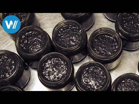 Caviar, Italy's black gold (360° - GEO Reportage)