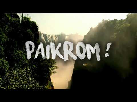 PAIKROM SVG - SOON AND VERY SOON - REMIX2020