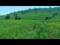 Arokya Anthem Kannada Iris Films 2019