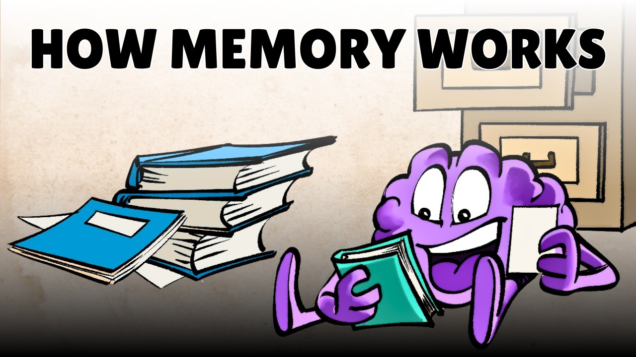 The Multi-Store Model: How We Make Memories