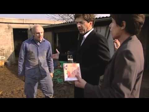 In De Gloria - Happy birthday