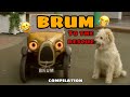 SHORT SHOW Brum To The Rescue Compilation
