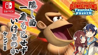 【Switchドンキー】隠しステージ『ふみふみラビリンス』！
