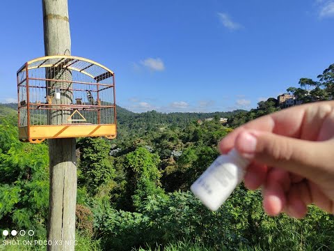 REMÉDIO CASEIRO PRA CANTAR MAIS COLEIRO E PAPACAPIM!!!