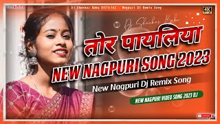 Tor Payaliyaa !! New Nagpuri Song 2023 !! New Nagpuri Video Song 2023 Dj !! Nagpuri Dj Dj Shankar