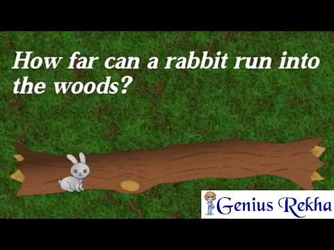 YouTube video about: How far can a rabbit run in the woods?