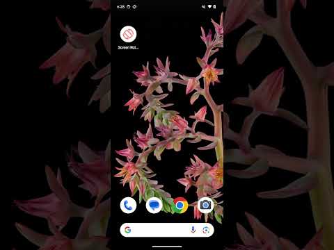 Screen Rotation Control:Lock