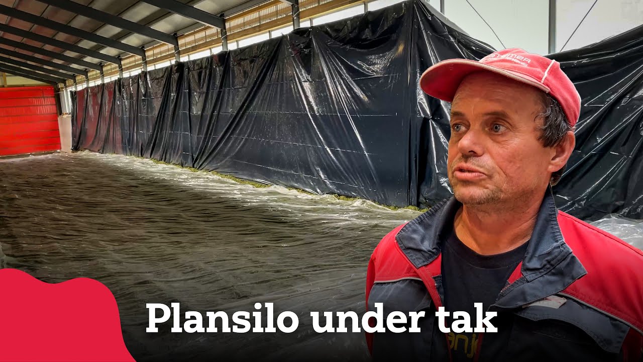 Plansilo under tak hos Bringebærhaugen Samdrift