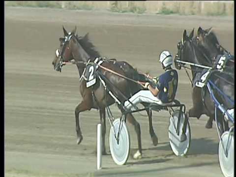 Trotto 08/06/2017 - 5ª corsa