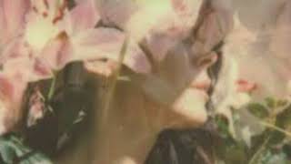 Bird - Nerina Pallot