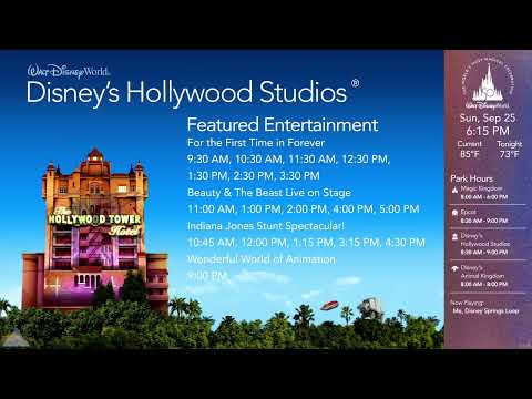 WDW Today Channel - Walt Disney World Resort TV DEMO