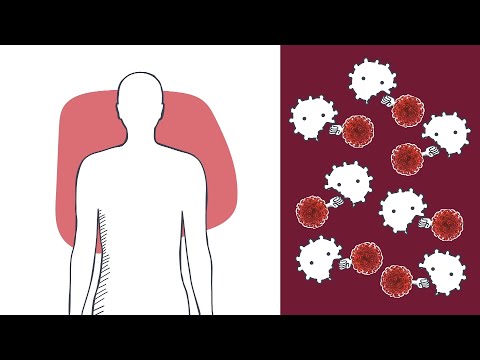 Aids: Was passiert im Körper? – logo! erklärt – ZDFtivi