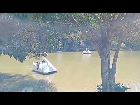 Videos del Fazenda Vilarejo 4★ en Conservatória, BrasilVer MásVerPrecios12CerrarConsulta por Whatsapp 🇦🇷BookingTripadvisorExpediaAgodaPricelineTripSkyscannerDespegarKayakHotelesDestiniaTrivago