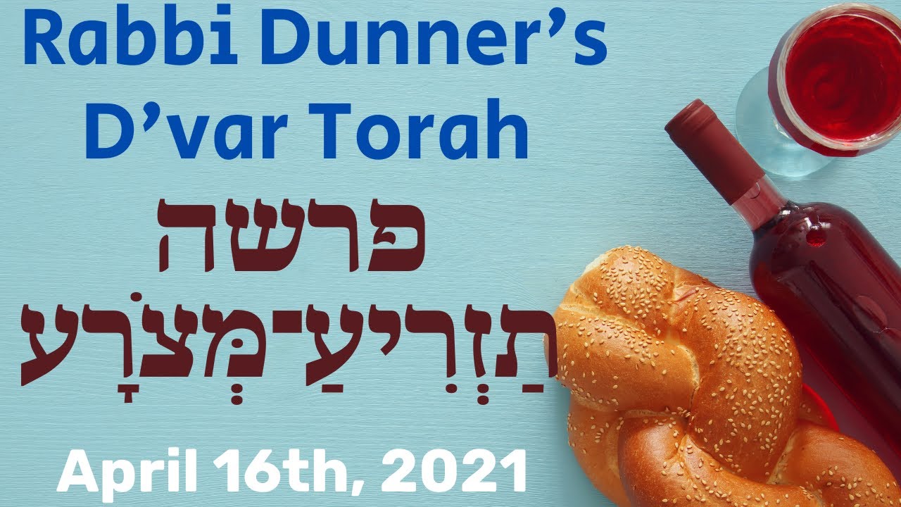 Metsorah Archives Rabbi Pini Dunner