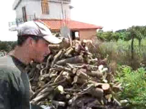 gastouni koutalies.mp4