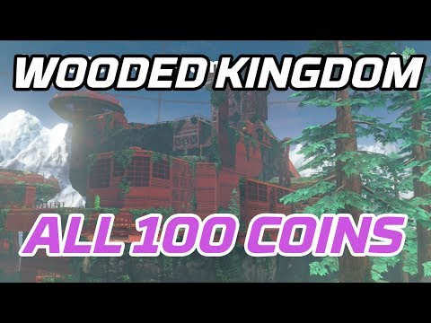 [Super Mario Odyssey] All Wooded Kingdom Coins (100 purple local coins)