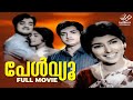 Pearl View Malayalam Full Movie Kunchacko Prem Nazir Sharada Malayalam Films