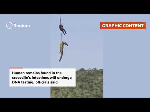 Video Thumbnail: WARNING: GRAPHIC CONTENT: South African police airlift crocodile after driver goes missing