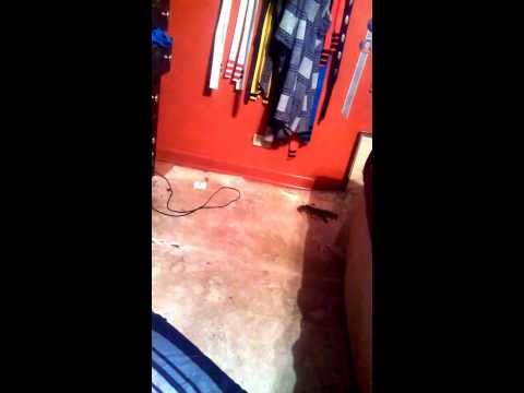 Emma Watson Celebrity House