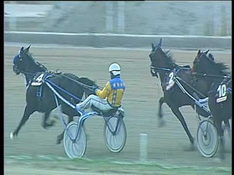 Trotto 24/11/2017 - 2ª corsa