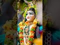 Radha Rani Hume Bhi Batade Jara Jaishreekrishna Radheradhe Shorts Status