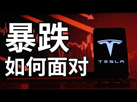 Video thumbnail for 马斯克参政TSLA暴跌崩盘！几个小建议帮助你面对近期波动风险