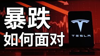 Thumbnail for 马斯克参政TSLA暴跌崩盘！几个小建议帮助你面对近期波动风险