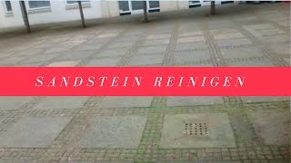 Sandstein reinigen - Algen und Moos entfernen Stein-Doktor