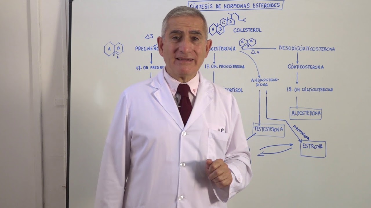 SINTESIS DE HORMONAS ESTEROIDES