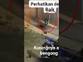 INI PESUGIHAN KAH KUCINGNYA SAMPE BENGONG Viral Shorts Jin Ghost Penampakan Hantu Misteri