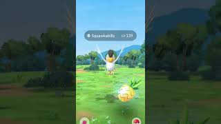 new squawkabilly #pokemongo