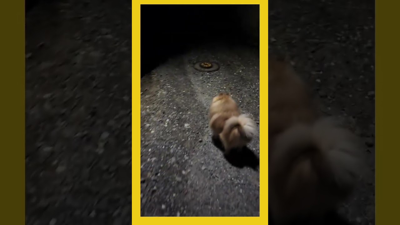 なんかいてしぬwまじびっくりした