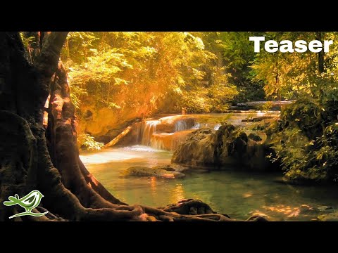 Endless • Music for Sleep, Meditation, Yoga & Mindfulness (Preview) #Shorts