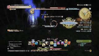 初心者のFF14配信