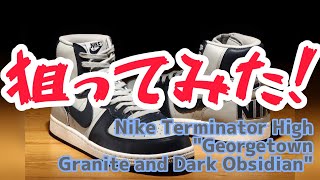 2022/11/17発売Nike Terminator High "Georgetown/Granite and Dark Obsidian"(2022) を狙ってみた！
