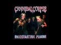 Cannibal Corpse - A Cauldron Of Hate 