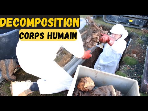 BODY REDUCTION at the cemetery☠☠☠☠☠