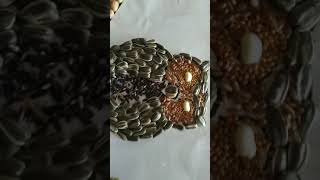 47 Koleksi Gambar Kolase Burung Hantu Dari Biji Kacang Hijau Terbaru
