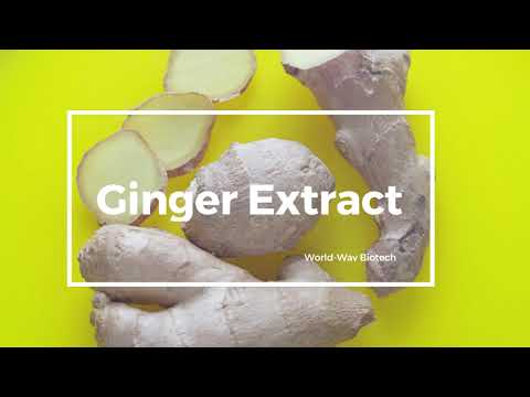 Ginger Extract