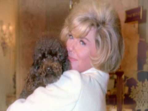Too Marvelous For Words - Doris Day