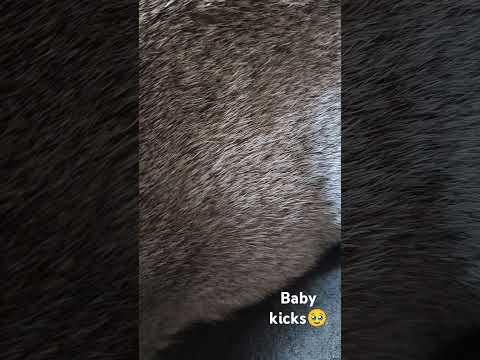 When she was pregnant!🥹❤️