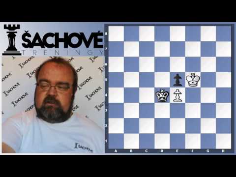 Peter Paleček - "Možnosti figúr"