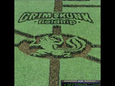 GrimSkunk - Meltdown (Fieldtrip)
