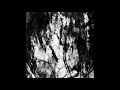 Daniel Menche - The Face of Vehemence (2002) [FULL ALBUM]