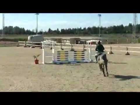 Cardino 5 year old final