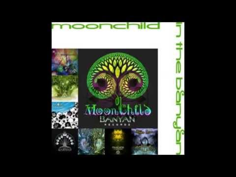 DJ MoonChild - Moonchild In The Banyan
