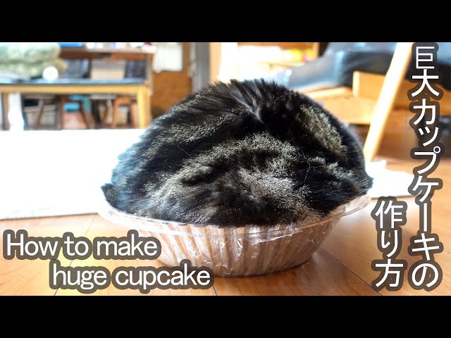Maru cupcake